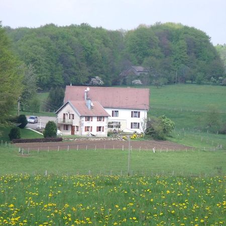 Gite Les Hirondelles Plombières-les-Bains Pokój zdjęcie