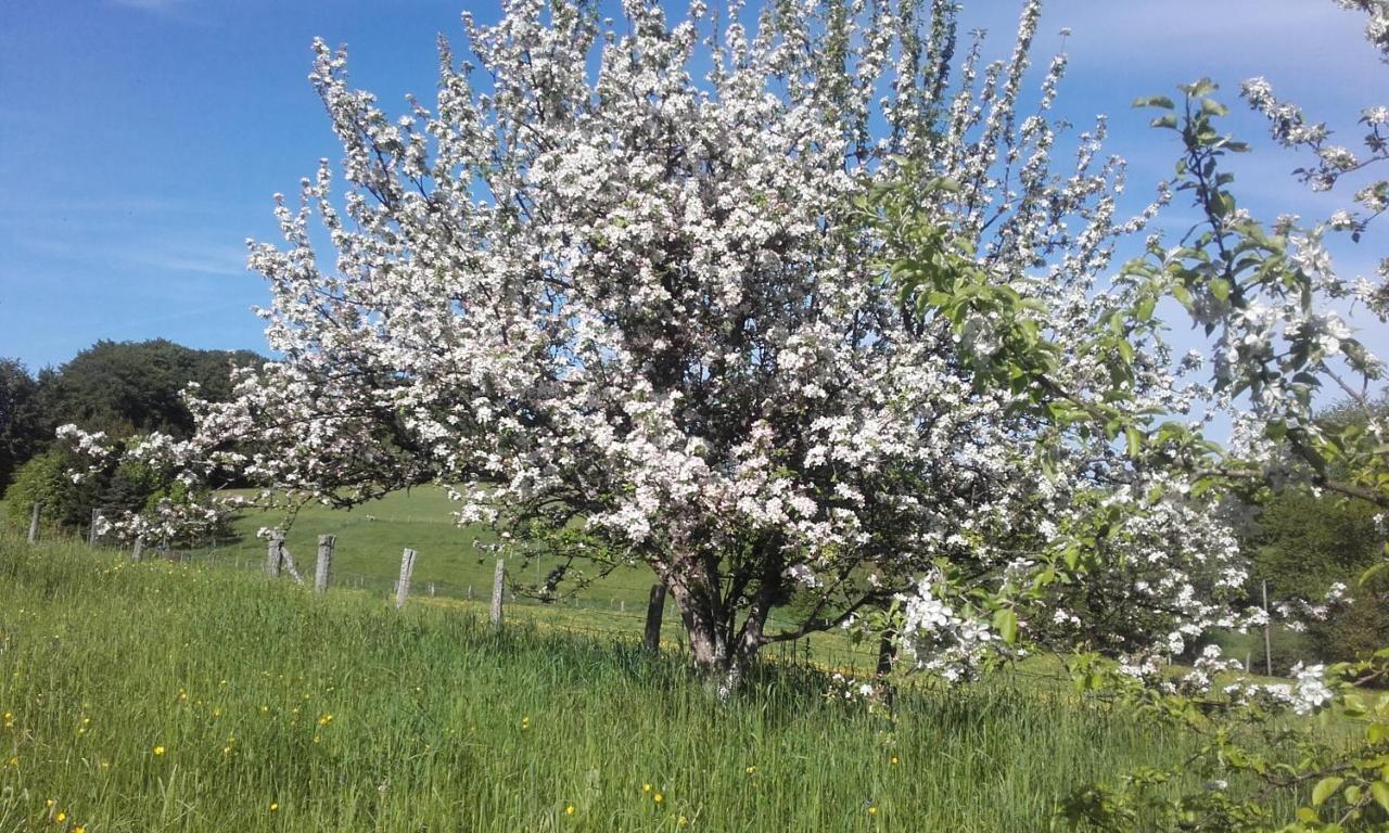 Gite Les Hirondelles Plombières-les-Bains Zewnętrze zdjęcie