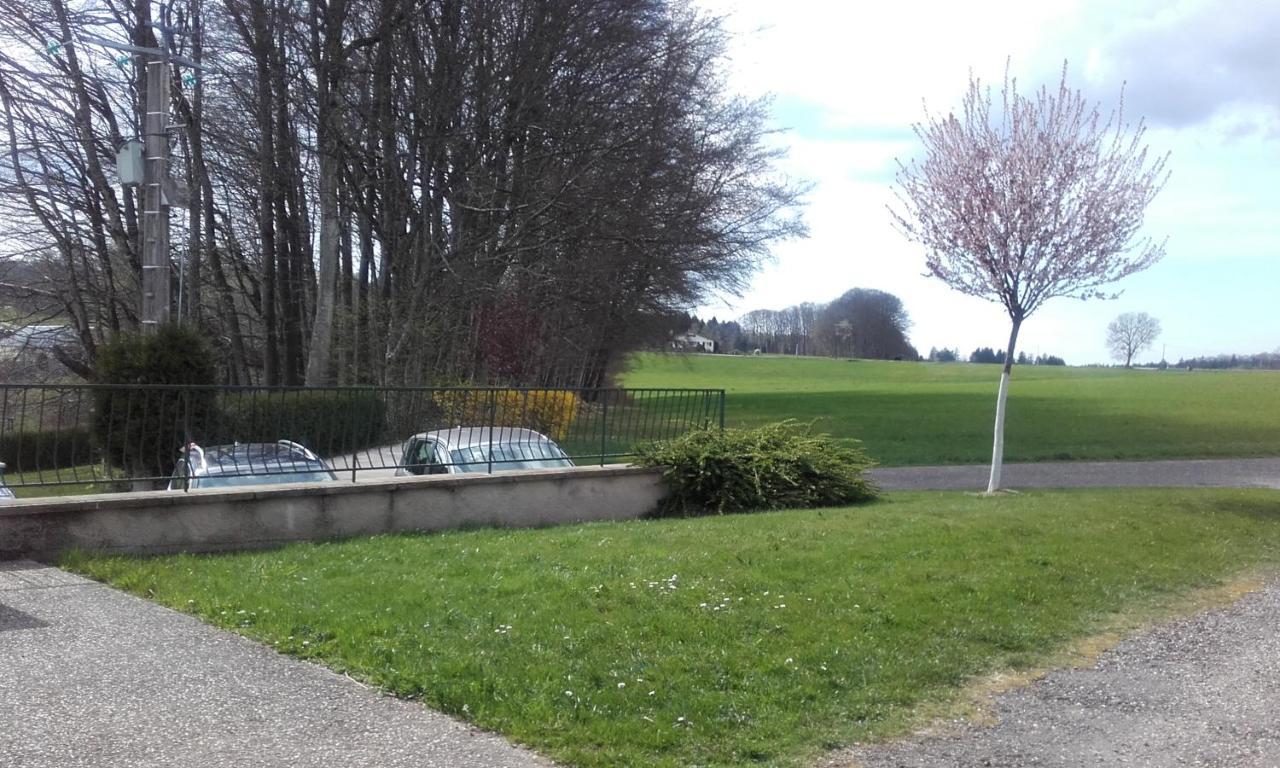Gite Les Hirondelles Plombières-les-Bains Zewnętrze zdjęcie