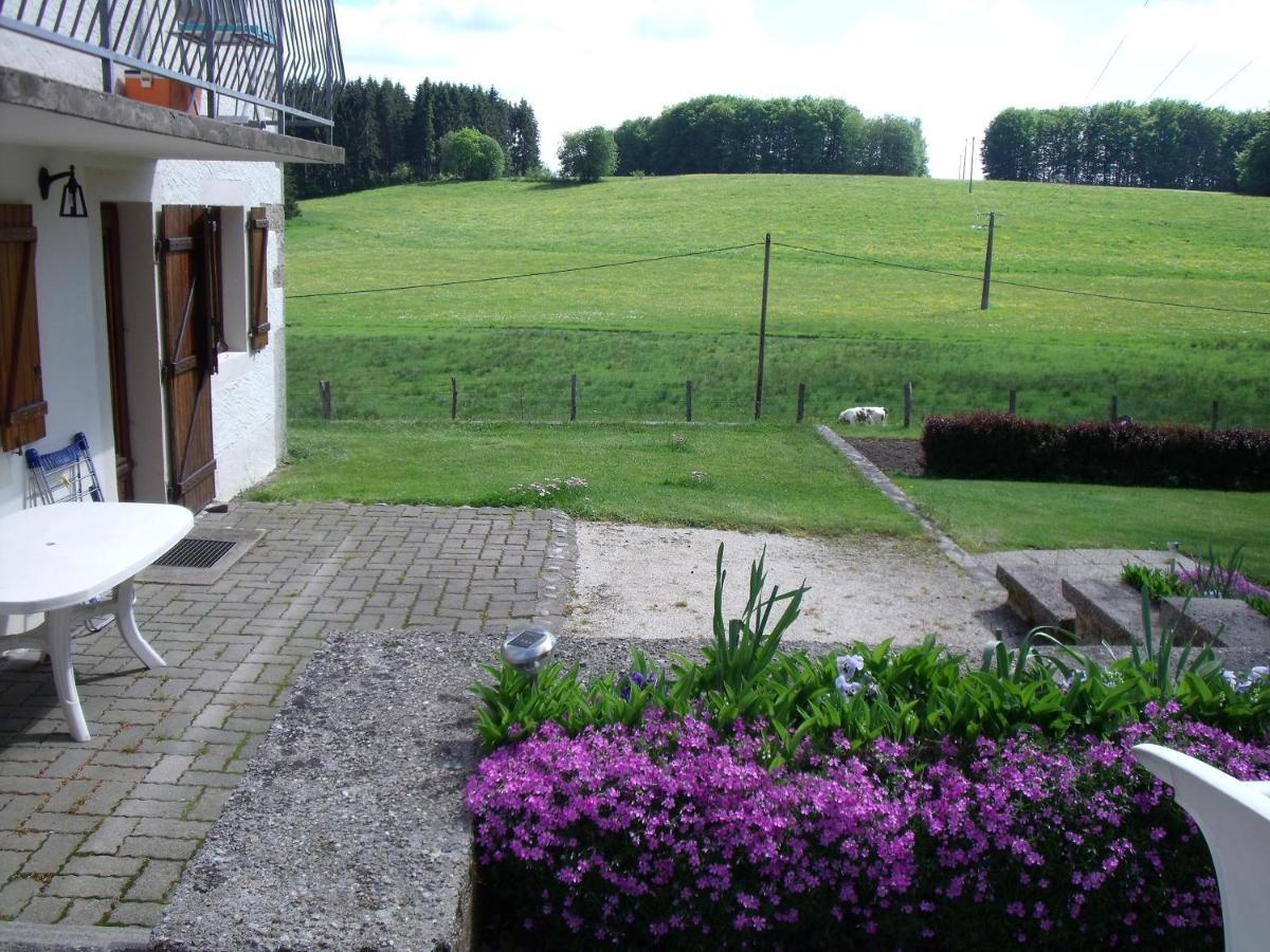 Gite Les Hirondelles Plombières-les-Bains Zewnętrze zdjęcie