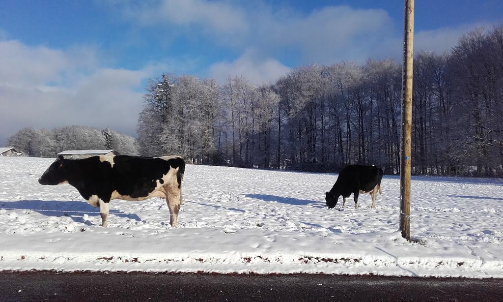 Gite Les Hirondelles Plombières-les-Bains Zewnętrze zdjęcie