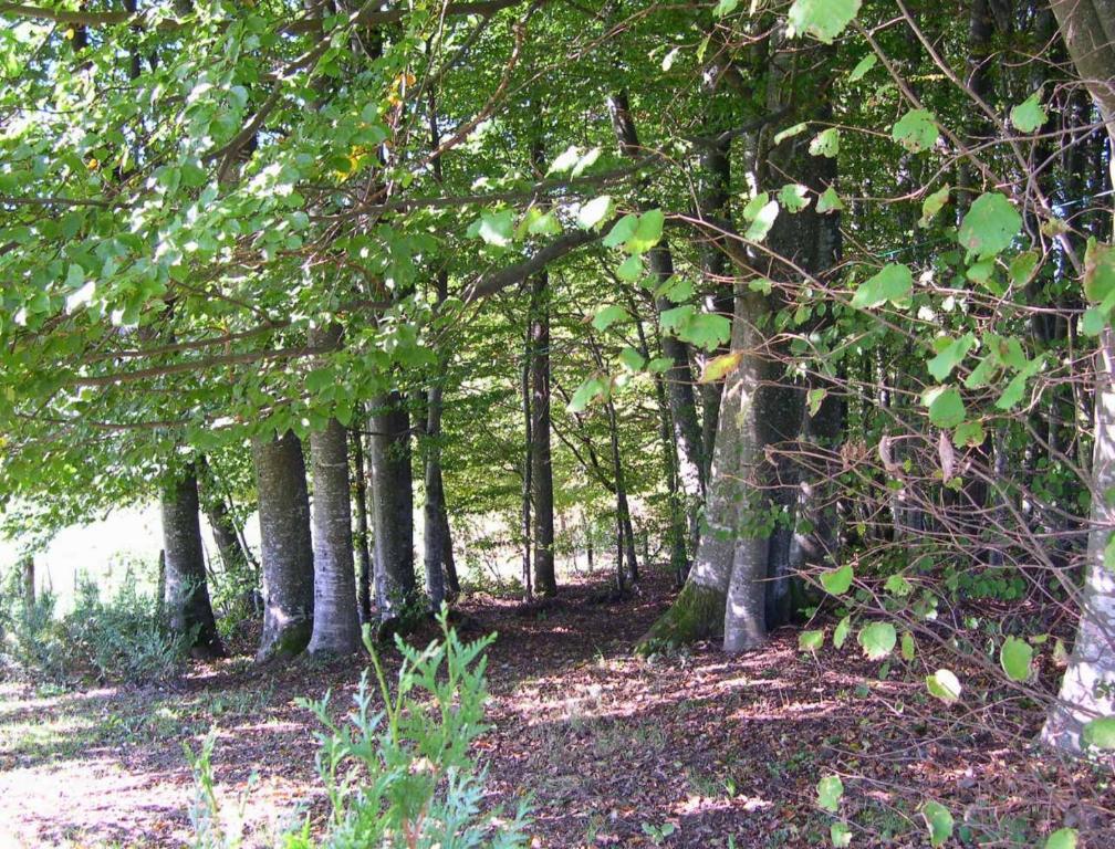 Gite Les Hirondelles Plombières-les-Bains Zewnętrze zdjęcie