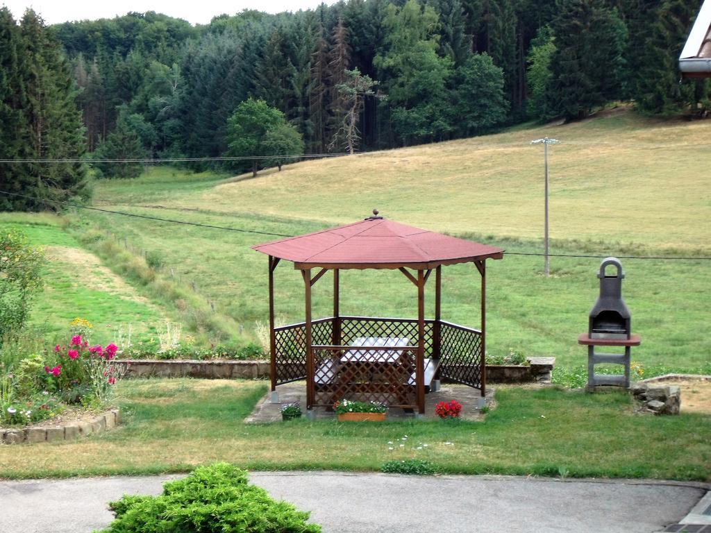 Gite Les Hirondelles Plombières-les-Bains Zewnętrze zdjęcie