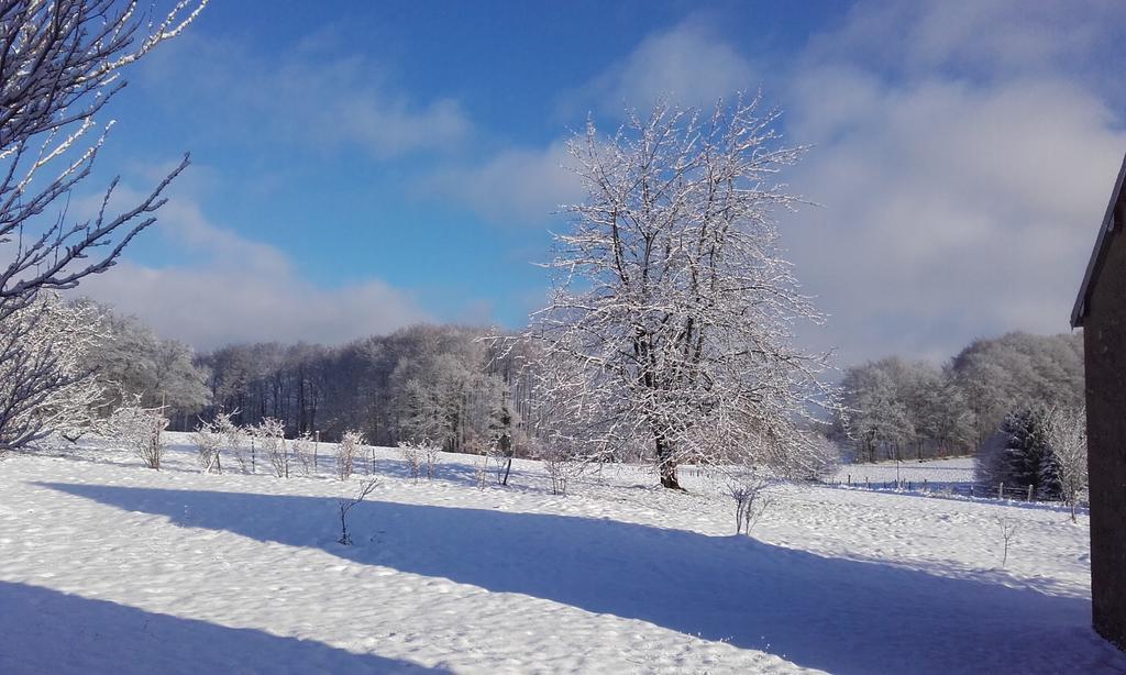 Gite Les Hirondelles Plombières-les-Bains Zewnętrze zdjęcie