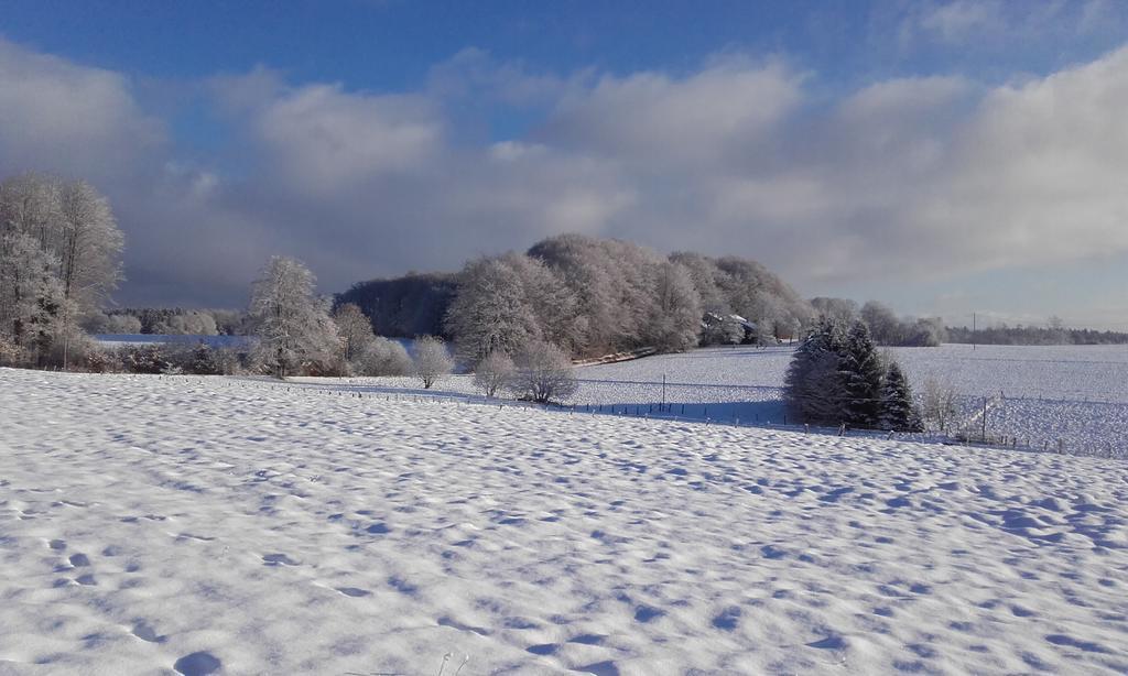 Gite Les Hirondelles Plombières-les-Bains Zewnętrze zdjęcie