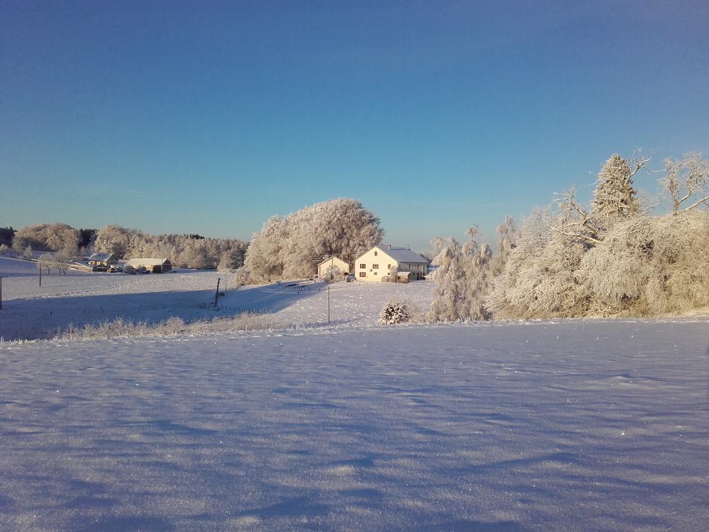 Gite Les Hirondelles Plombières-les-Bains Zewnętrze zdjęcie