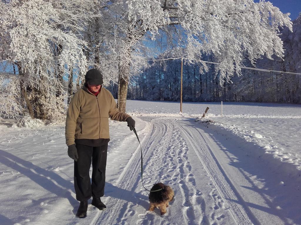 Gite Les Hirondelles Plombières-les-Bains Zewnętrze zdjęcie